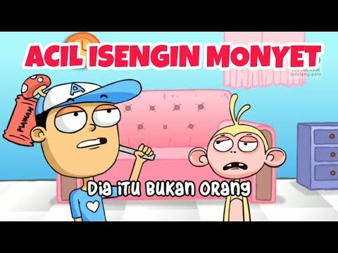 Dalang pelo terbaru ACIL ISENG