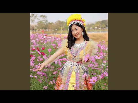 Nco Txhais Npab Uas Rau Kuv Ncoo