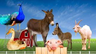 ANIMAIS FAMILIARES E DA FAZENDA - NOME E SOM DOS ANIMAIS DA FAZENDA