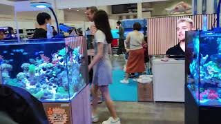 Jalan jalan ke Aquatic & Garden Asia show 2023 singapore
