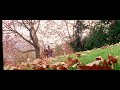 Jab Se Jana Tujhko Status Ringtone