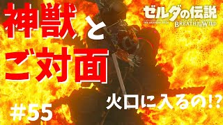 【女性実況】ゼルダの伝説ブレスオブザワイルド～今日もゼルダを救えない#55