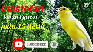 Download lagu masteran kenari jeda 15 detik mp3