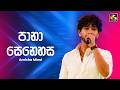 Pana Senehasa පානා සෙනෙහස Amisha Minol Ahankara Nagare EBC Music