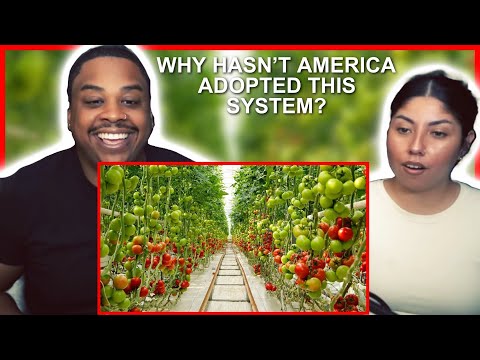 AMERICANS REACT TO: WHY EUROPE FARMS ARE BETTER THAN USA