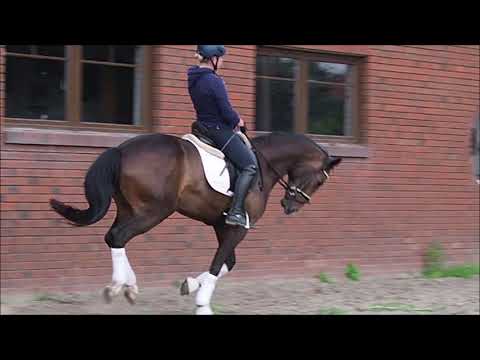 Foundation x San Amour, 3j Wallach