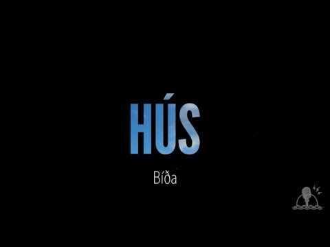 HÚS - Bíða (Recording Europe)