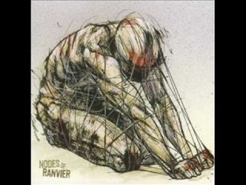 Nodes of Ranvier - Dont Blink (Or We May Miss It)