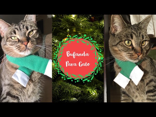 Vídeo relacionado con BRUBAKER Cashmirillo Bufanda de Mujer con Estampado de Gatos - 70 x 200 cm - Cálida y Acogedora - Bufanda de Lana para Otoño e Invierno - Tacto Suave de Cachemira - Negro y Beis