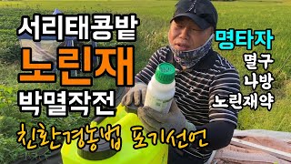 서리태콩밭 노린재 박멸작전 / 친환경농법 포기선언 / 멸구 나방 노린재약 명타자 긴급처방 / 노린재 좀 잡아…