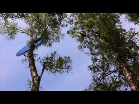 Astrein-Baumpflege - Gleitschirmflieger bei Baumpflegearbeiten SKT in Hohwacht an der Steilküste