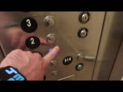 Thyssenkrupp Hydraulic Elevator At TWU Ann Stuart Science Complex