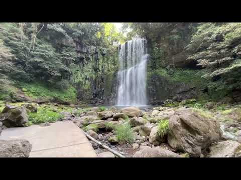 【注目の大分おでかけスポット】桜滝（日田市）