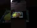 Sesame Street Episode 1873 Ending