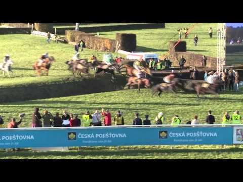 Na start 124. Velké pardubické se postaví 22 koní