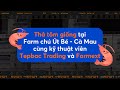 Thả tôm giống Farm chú Út Bé cùng Farmext - Tôm giống SYAQUA ADN #farmext #tomgiong #tepbac