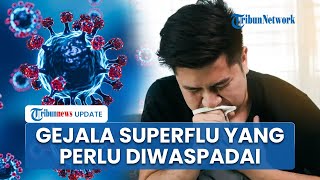 Perlu Diwaspadai! Gejala Superflu Subclade K yang Terdeteksi di Indonesia, Penularan Cepat