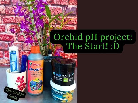 New orchid project! a pH project: The Start!