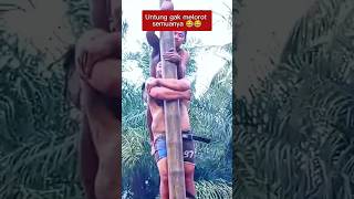 Download lagu The moment your pants fall down during the pole climbing competition. mp3 Download lagu The moment your pants fall down during the pole climbing competition. mp3