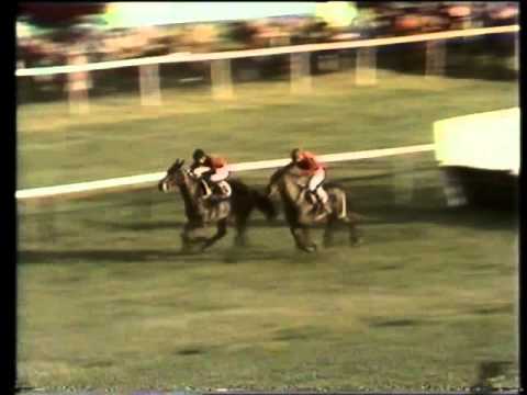 Dawn Run Christmas Hurdle.avi