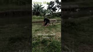 Download lagu Story WA Ost. Orang Pinggiran || Motivasi Hidup || Mata Hati || Erry Band mp3