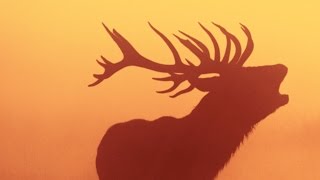 Tim Young: Autumn Dries the Soul (2002)