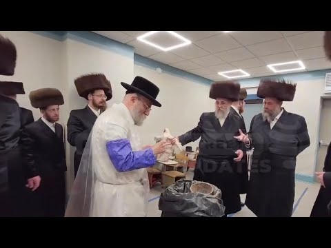 Skver Boro Park Rebbe At Kapores Shlugen Erev Yom Kippur 2024
