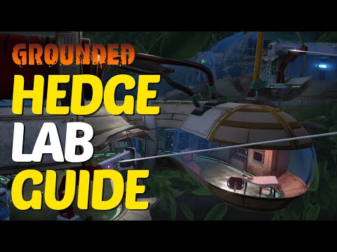 Full Hedge Lab Walkthrough in Grounded 2025