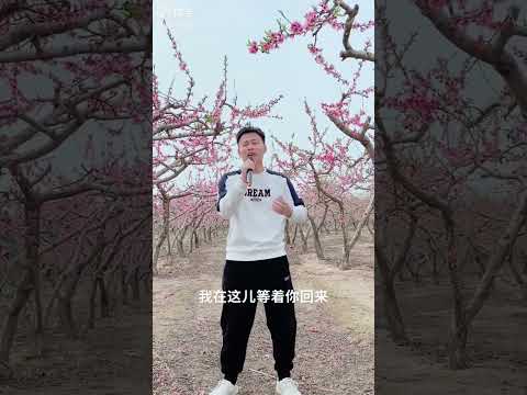 #王良辰 #好聽的歌曲 #桃花朵朵開 #散播歡樂散播正能量