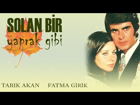 Solan Bir Yaprak Gibi Fragman
