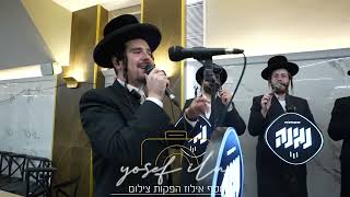 גרסת הפויקר מוטי הכט מקהלת נגינה תמיד אוהב אותי יוסף אילוז הפקות צילום חתונה חרדית  צלם דתי צלם חרדי