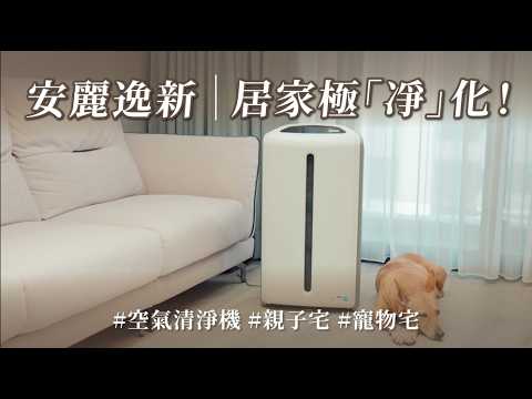 別讓室內空污成為健康隱憂！破解寵物宅和親子宅異味與過敏原的終極方案！