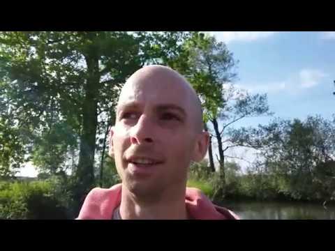 Ich bin ein Alien - Autodidakt Lernen, Hochbegabung, Unverstanden