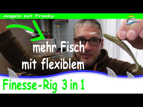 Finesse Rig 3 in 1🐟🎣 Carolina Rig | Texas Rig | Cheburashka Rig