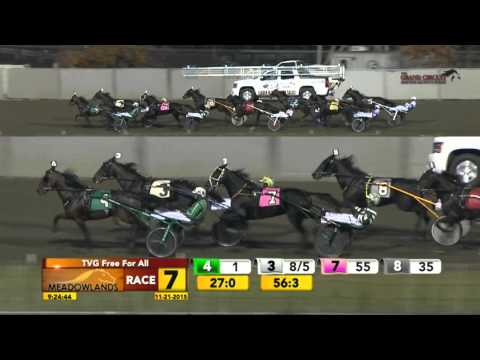TVG Free For All Final - Resolve - November 21, 2015