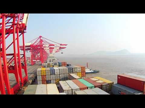 Shanghai port Timelapse