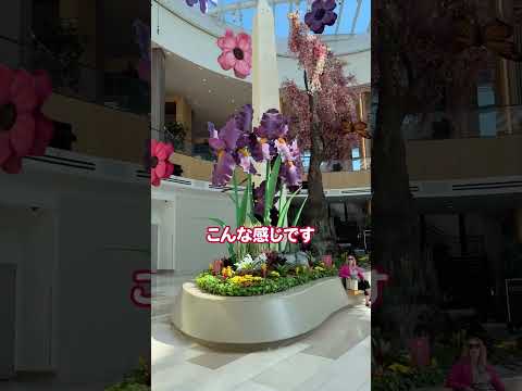 国際・英語学科 前回に続き、MGMナショナルハーバーをご紹介します🎰大阪のIR構想も、こうした実例を参考にしながら「地域にとって本当に価値あるIRとは何か」を考えていきたいと思います✨  #自民党 #ふっちー
