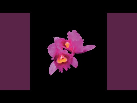 Under The Weeping Moon (2023 Abbey Road Remaster)