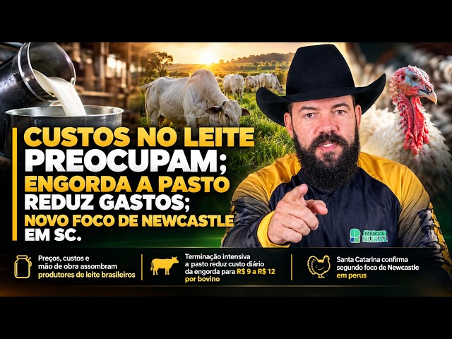 Custos no Leite Preocupam; Engorda a Pasto Reduz Gastos; Novo foco de Newcastle em SC.