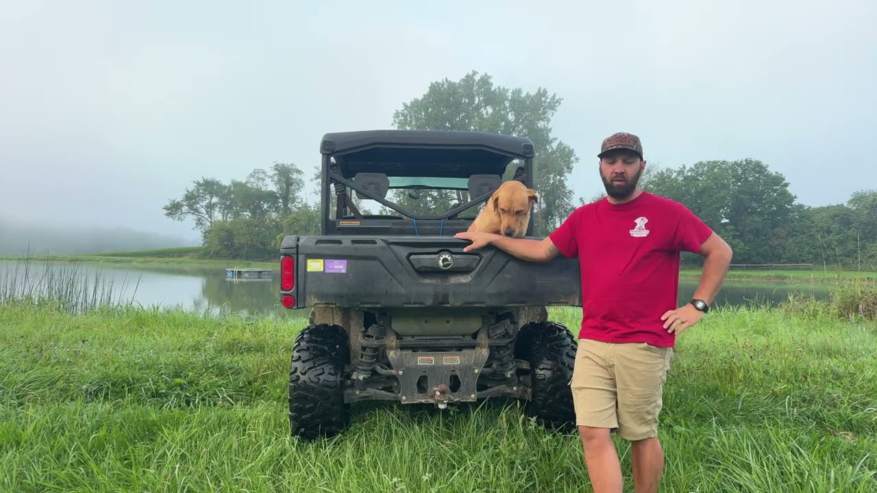 Massbach Kennels Foster Dog Program