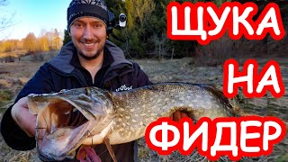Весенняя ловля щуки при помощи фидерной кормушки