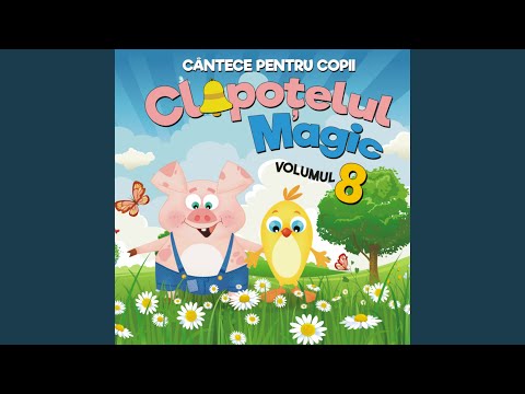 Fluturas, nu mai ai aripioare