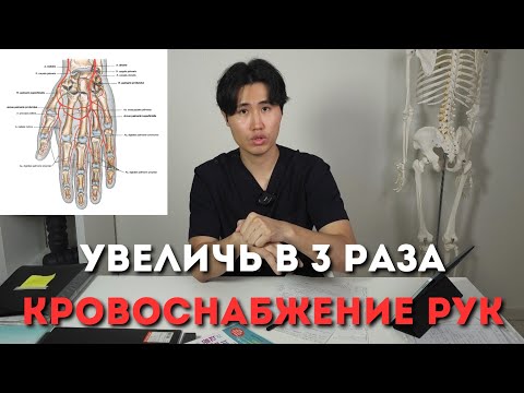 Кровоснабжение рук увеличивается в 3 раза после этих упражнений.