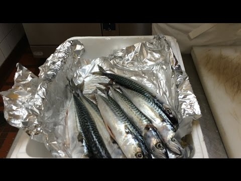 Bouillabaisse aux maquereaux