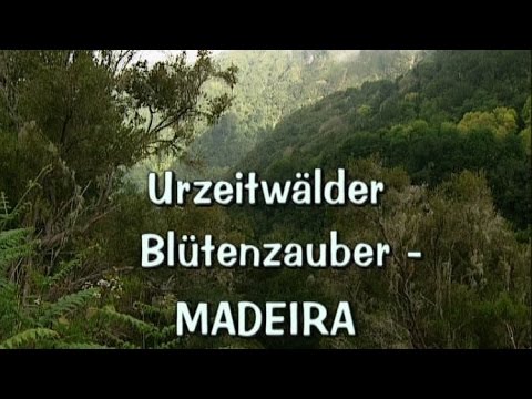 Europas wilde Paradiese: Urzeitwälder, Blütenzauber - Madeira (2000)