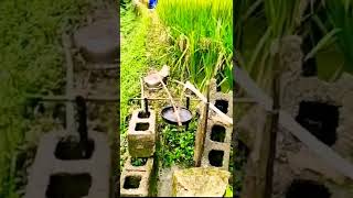 Download lagu Alat Pertanian Kreatif Pengusir Hama Burung Sawah #shorts mp3