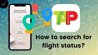 How to search for flight status using the route in TAP Portugal