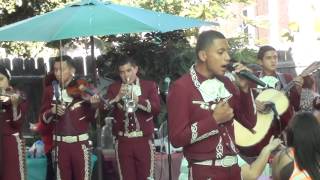 Hermoso Carino -  Mariachi Nuevo Amanecer