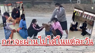 กว่าจะผ่านไปได้ในแต่ละวัน เป็นหมาโรงเรียนต้องทำใจ