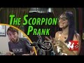 The Scorpion Prank - RT Life 